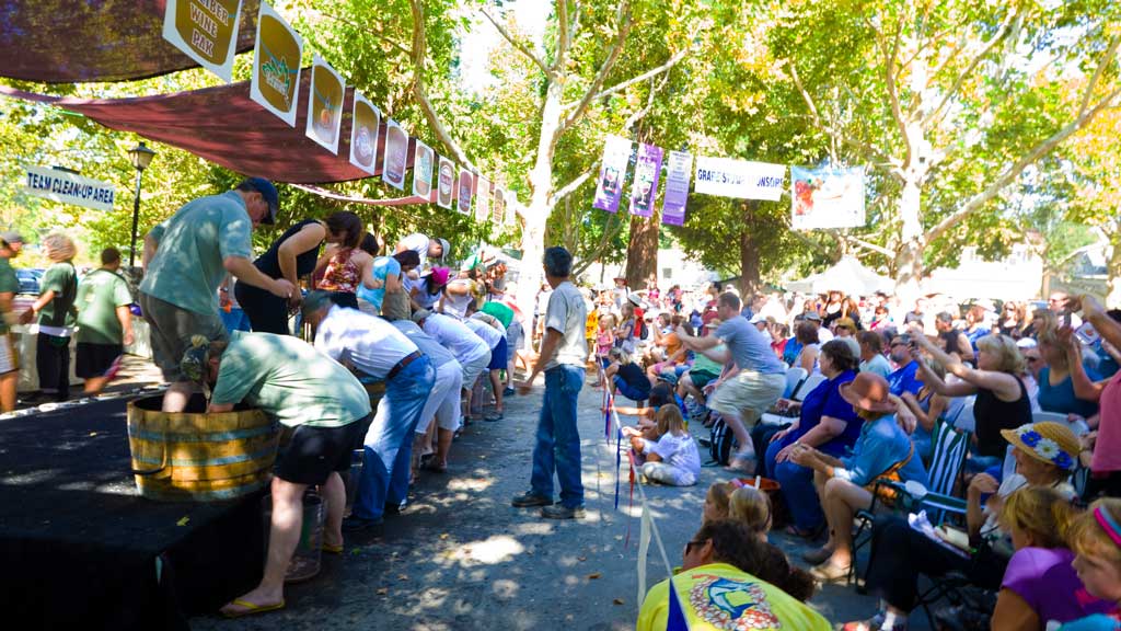 Festivals & Events: Calaveras Grape Stomp | Ian Andrae, Mutineer Magazine