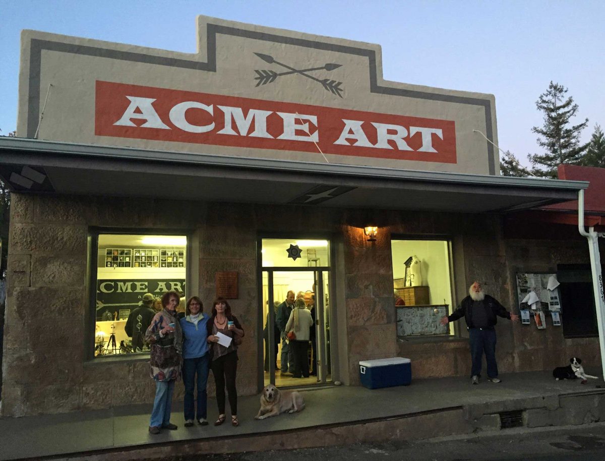Acme Art - play, create and make new friends in Mokelumne Hill's
