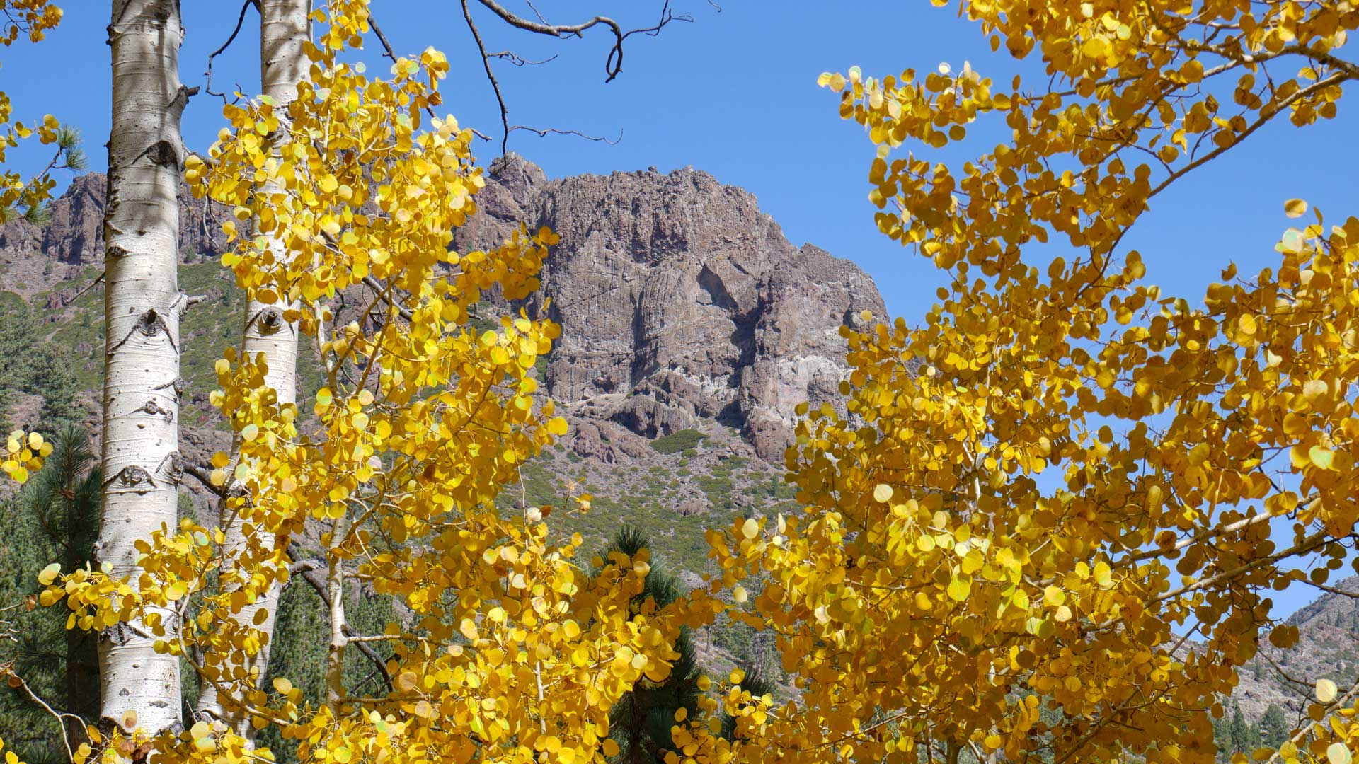 Ebbetts Pass National Scenic Byway | Barry Boulton