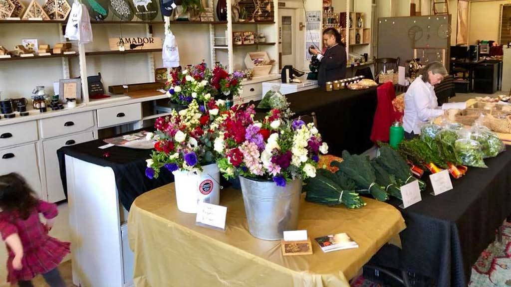 Mother Lode Exchange, Farmers Market, Organic, Farmers Market, Farm Tour, Farms