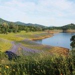 New Melones Lake Angels Camp