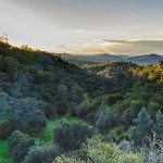 Sunrise over Highway 4 between Angels Camp & Copperopolis | Jack Forkner