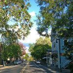 Historic downtown Murphys