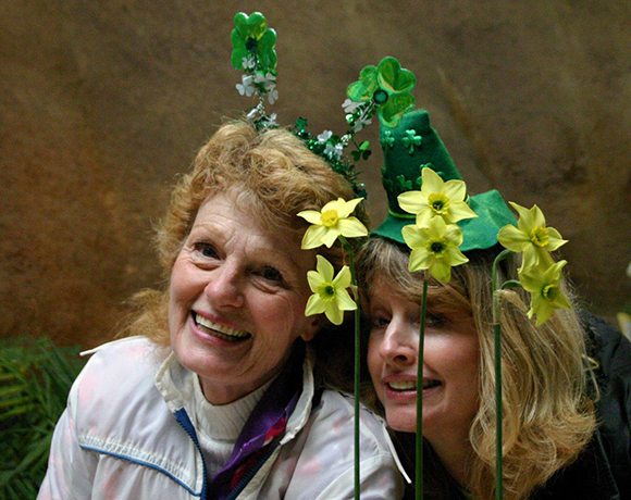 Mother Lode Daffodil Show. Courtesy: Bob Spotts