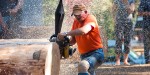 Sierra Nevada logging jamboree