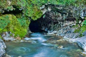 Natural Bridges Hike