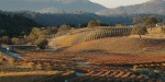 Zucca Mountain Vineyards