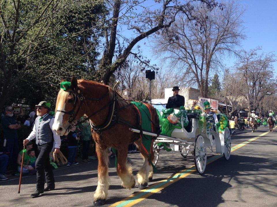 Murphys Irish Day Murphys California's celebration of its Irish heritage