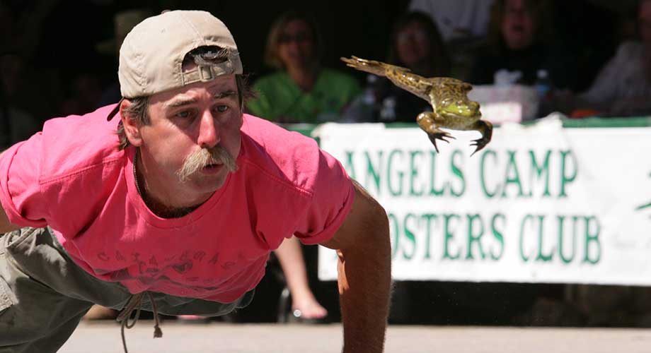 Festivals & Events: Jumping Frog Jubilee - Calaveras County Fair