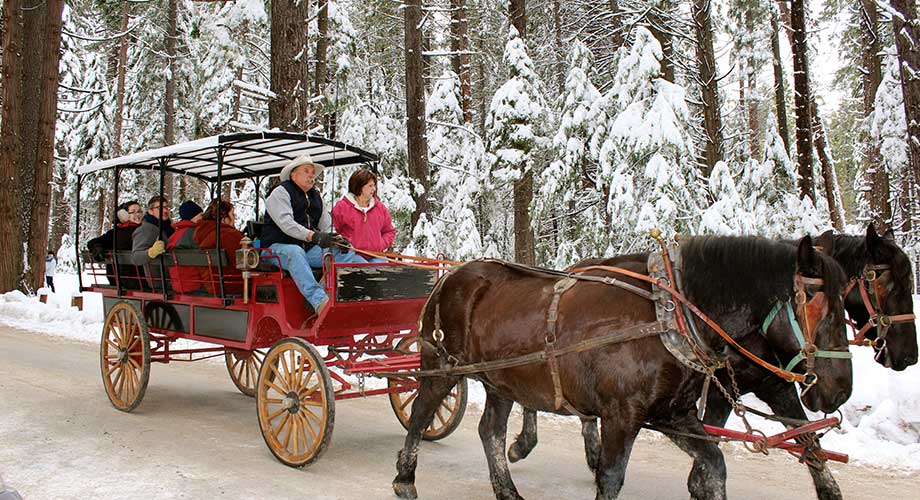 Annual Events - Winter Wonderland