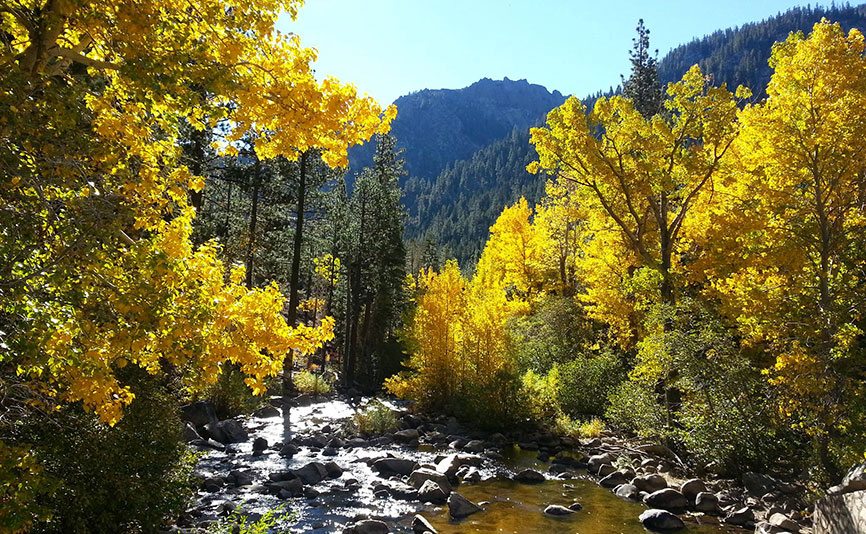 Ebbetts Pass National Scenic Byway by Laurie Ahlberg