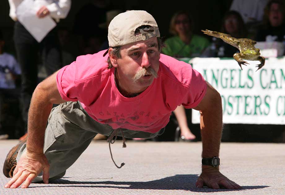 Calaveras County Fair & Jumping Frog Jubilee (aka Frog Jump