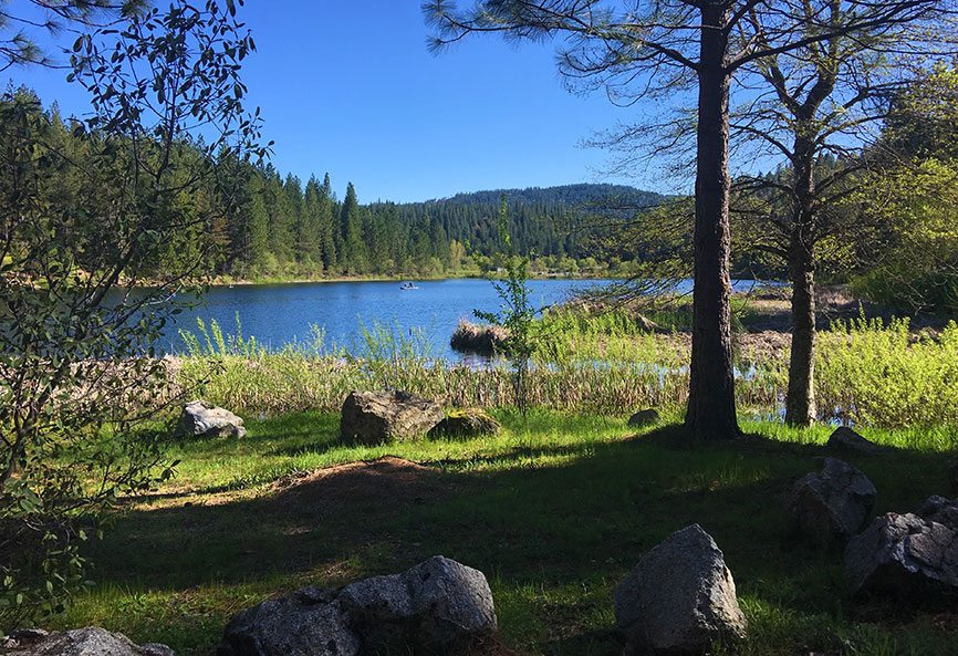 White Pines Lake by Lisa Boulton