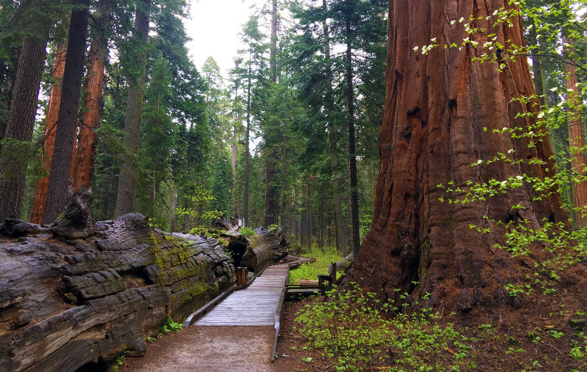 More Than Just Trees: What Makes a Park a State Park?