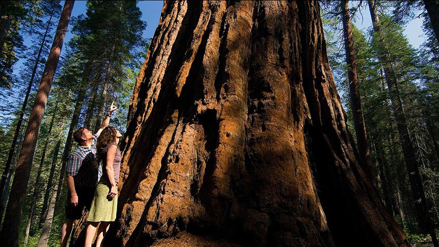 Calaveras Big Trees State Park by OARS