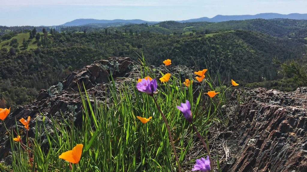 Calaveras County scenery