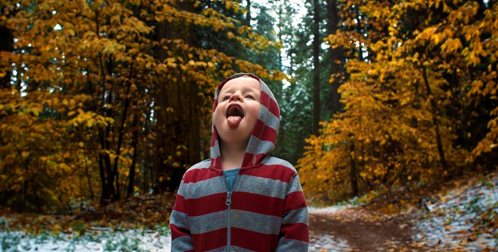 kid-friendly Arnold Rim Trail by Jason B Smith