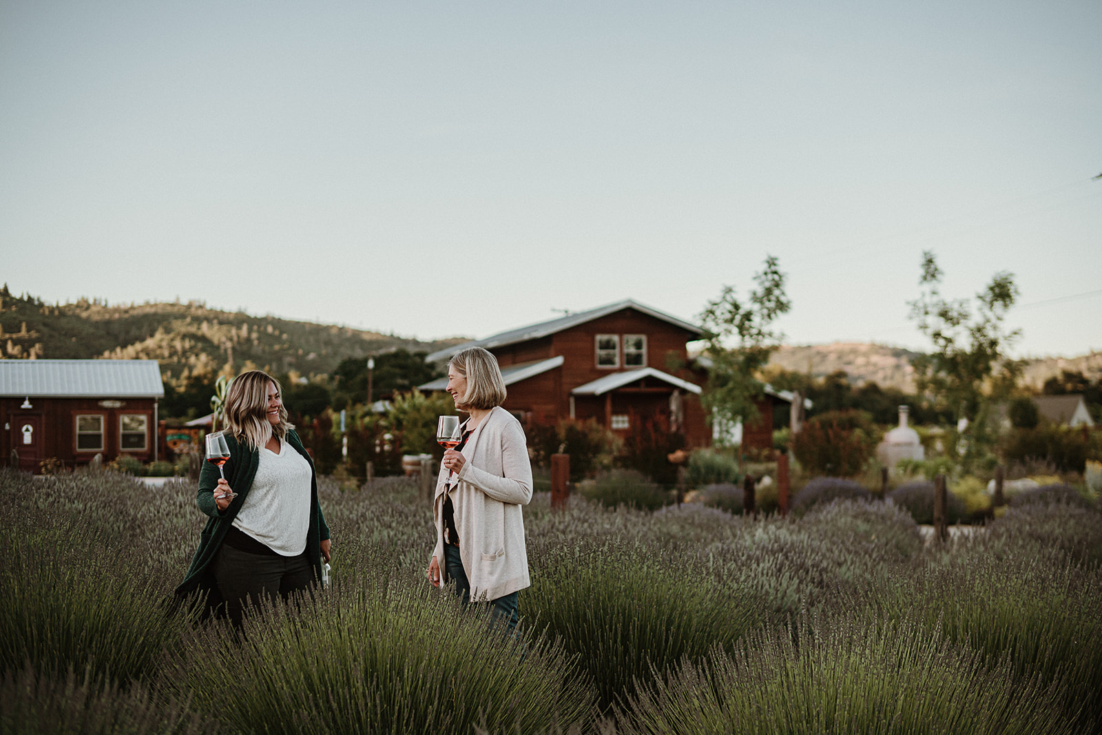 Locke Vineyards family crafted estate wines in Murphys