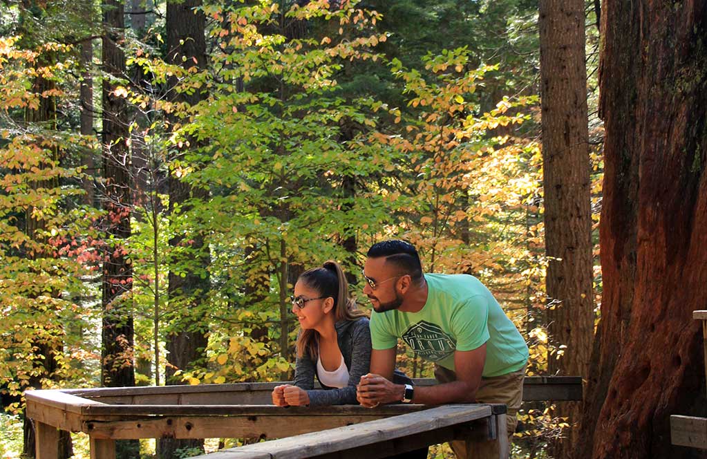 Calaveras Big Trees State Park | Lisa Boulton