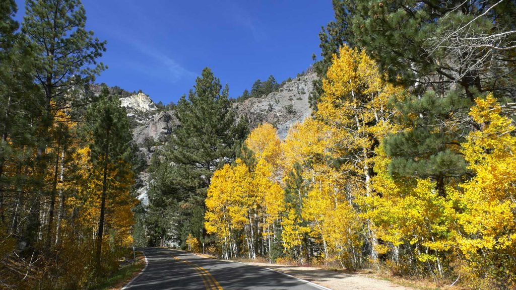 Ebbetts Pass National Scenic Byway Fall Color Lucia Gonzalez