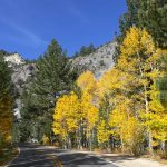 Ebbetts Pass National Scenic Byway Fall Color Lucia Gonzalez