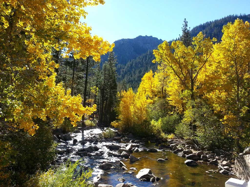 Ebbetts Pass National Scenic Byway