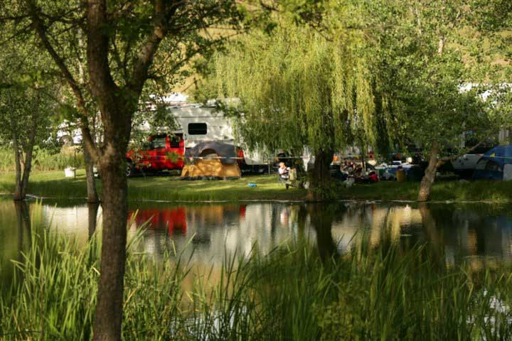 Frogtown RV Park - Camping at the pond