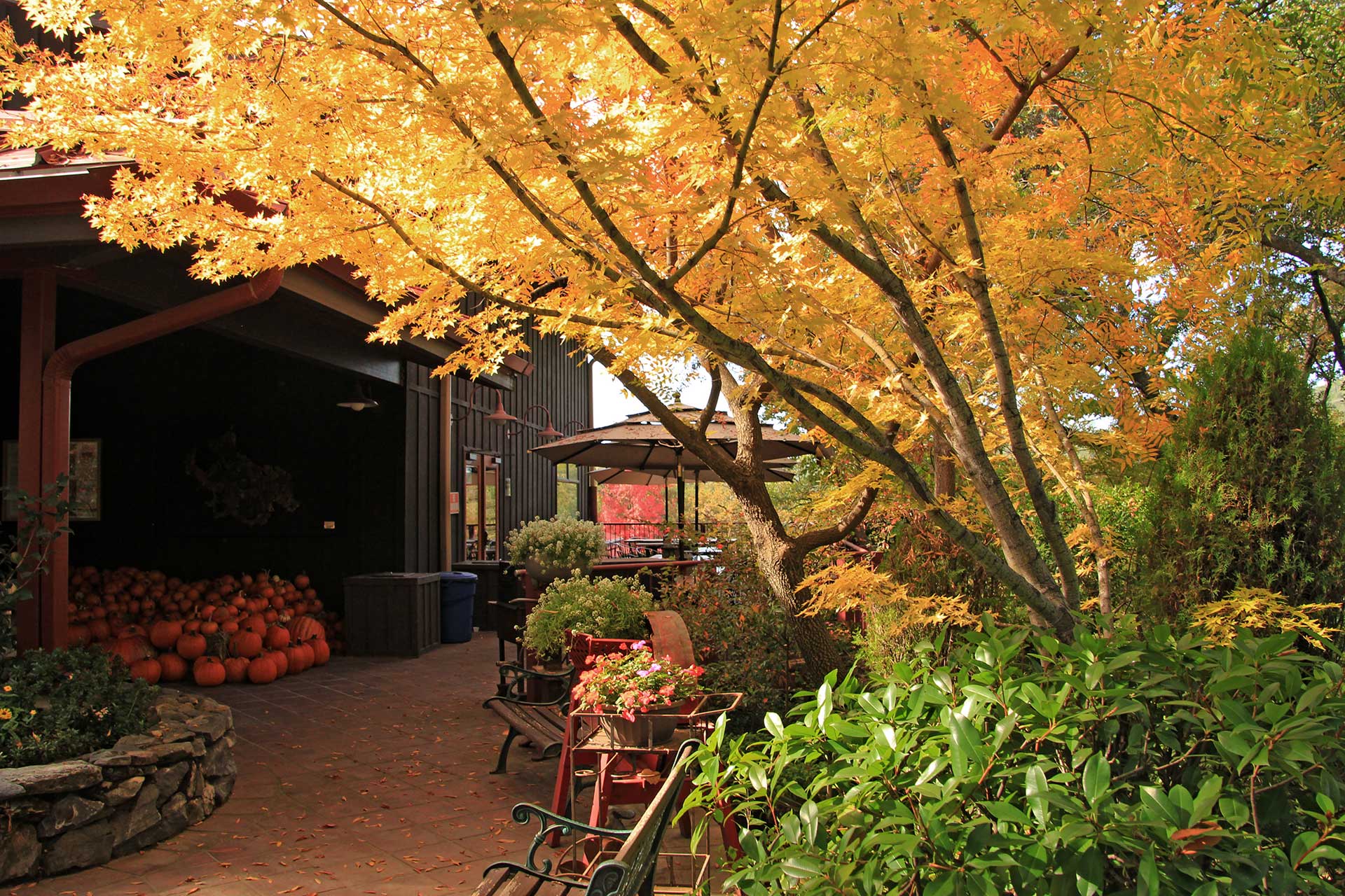 Ironstone Vineyards Delicatessen gourmet sandwiches & salads