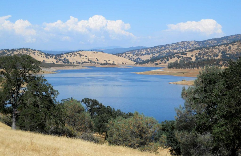 New Hogan Lake in Summer