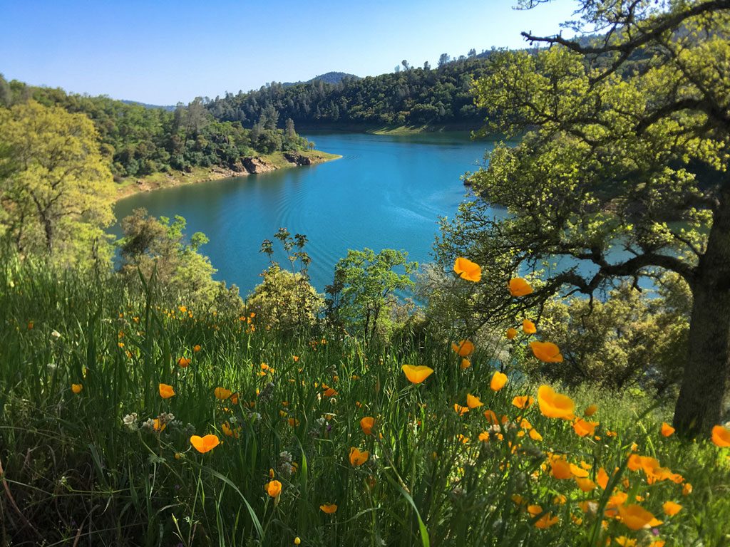 New Melones Lake, Calaveras County | Lisa Boulton