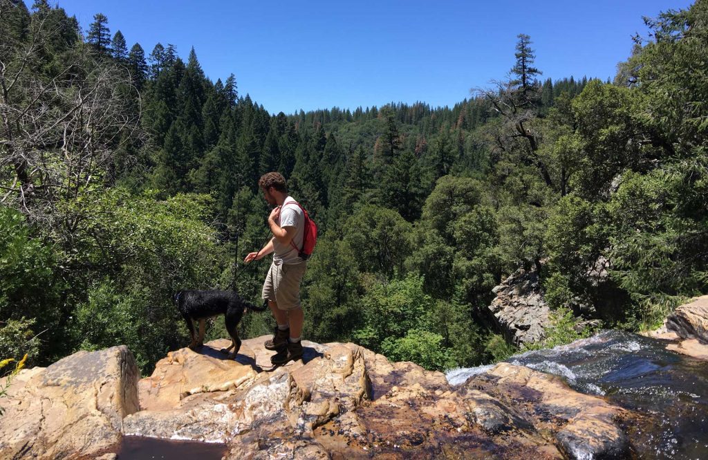 Stanislaus National Forest