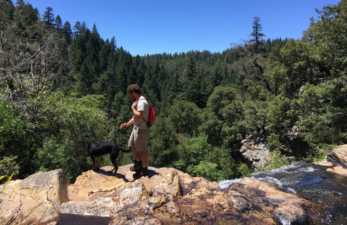 Stanislaus National Forest