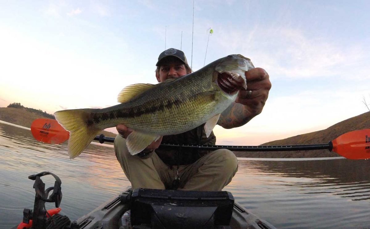 Agree, the bass fishing gloryhole Your phrase bass fishing gloryhole recommend you