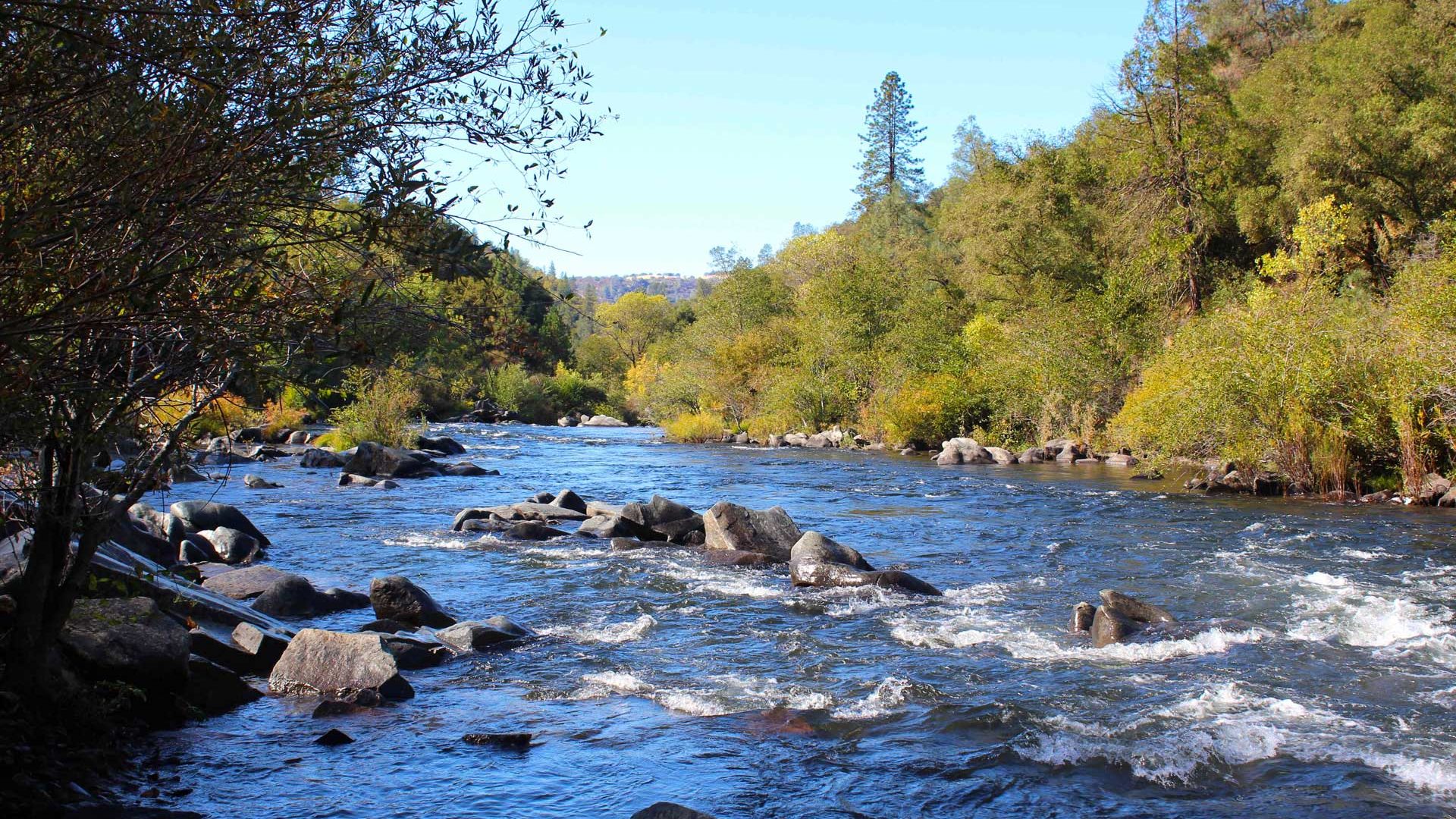 Mokelumne River