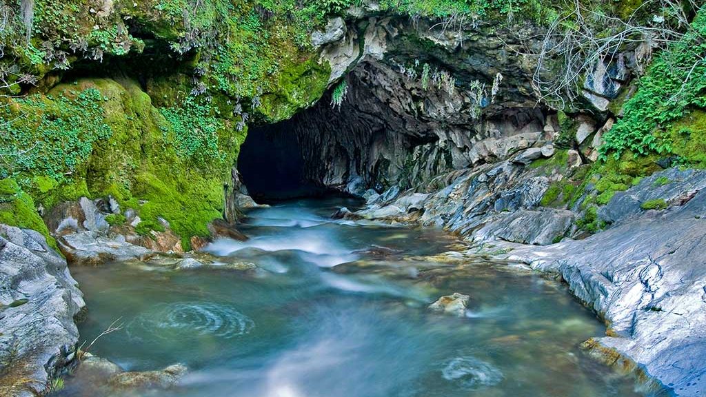 Tennessee's Natural Bridge: Where Nature's Majesty Meets Hiking Bliss