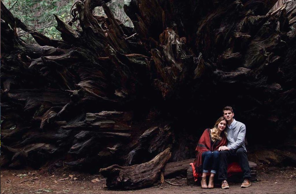 Valentine's Calaveras Big Trees Romantic