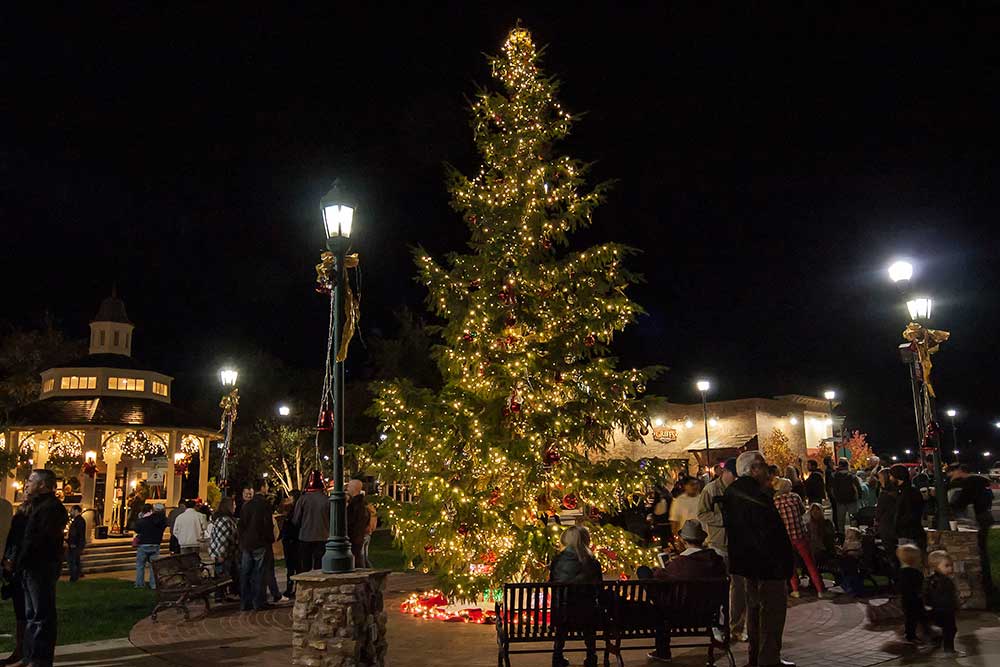 Copperopolis Christmas Tree Lighting | Jack Forkner