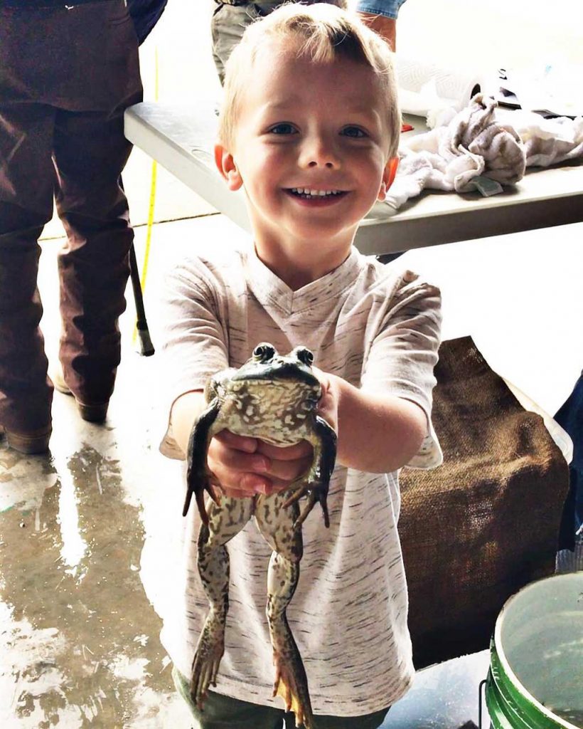 Frog Jump Fun
