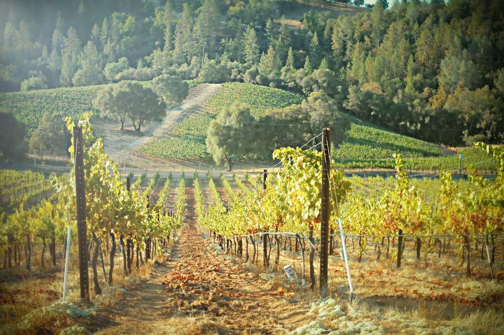 Calaveras Wineries Map - a hand map guide to Calaveras wineries
