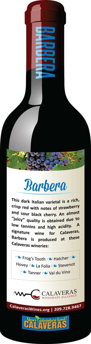 Barbera Recipe wine bottle