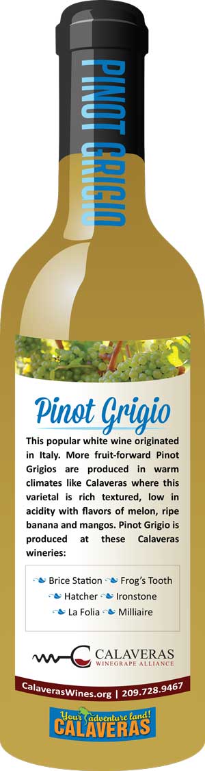 Pinot Grigio bottle