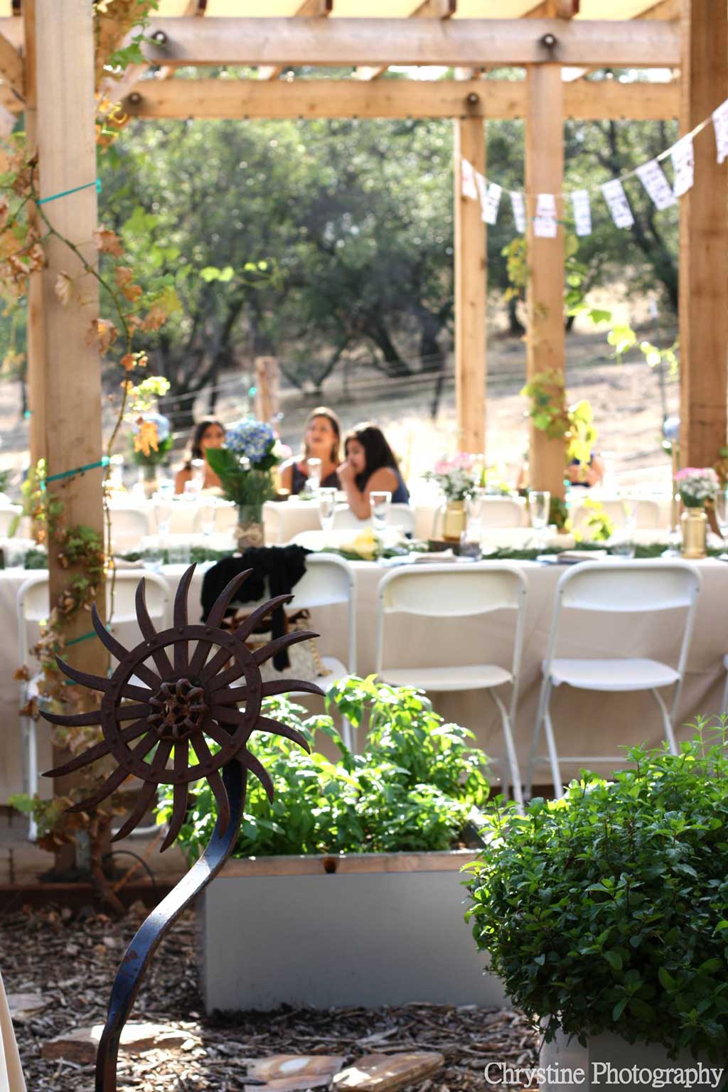 Vida Buena Farm rustic wedding