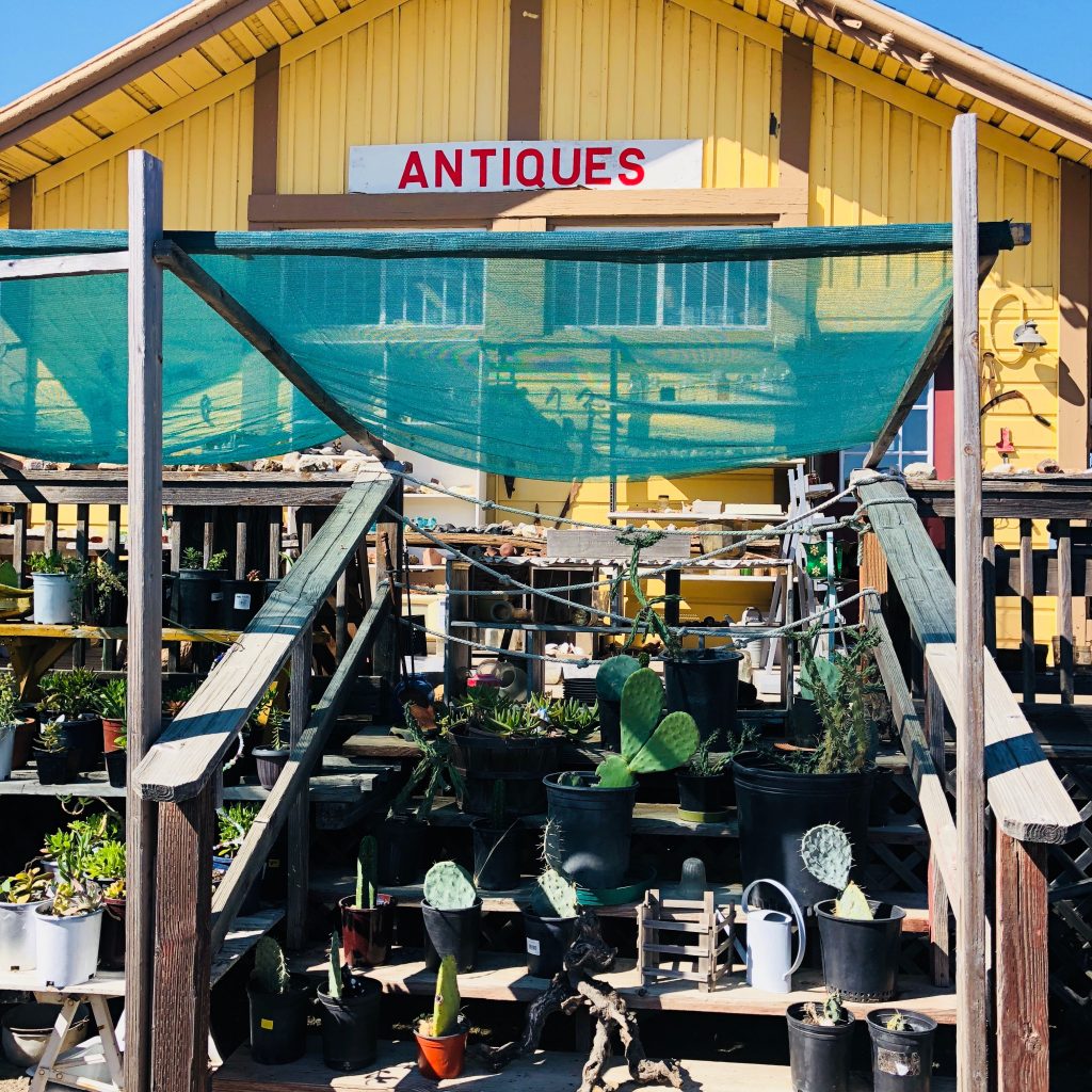 Shopping Near Saddle Creek Golf