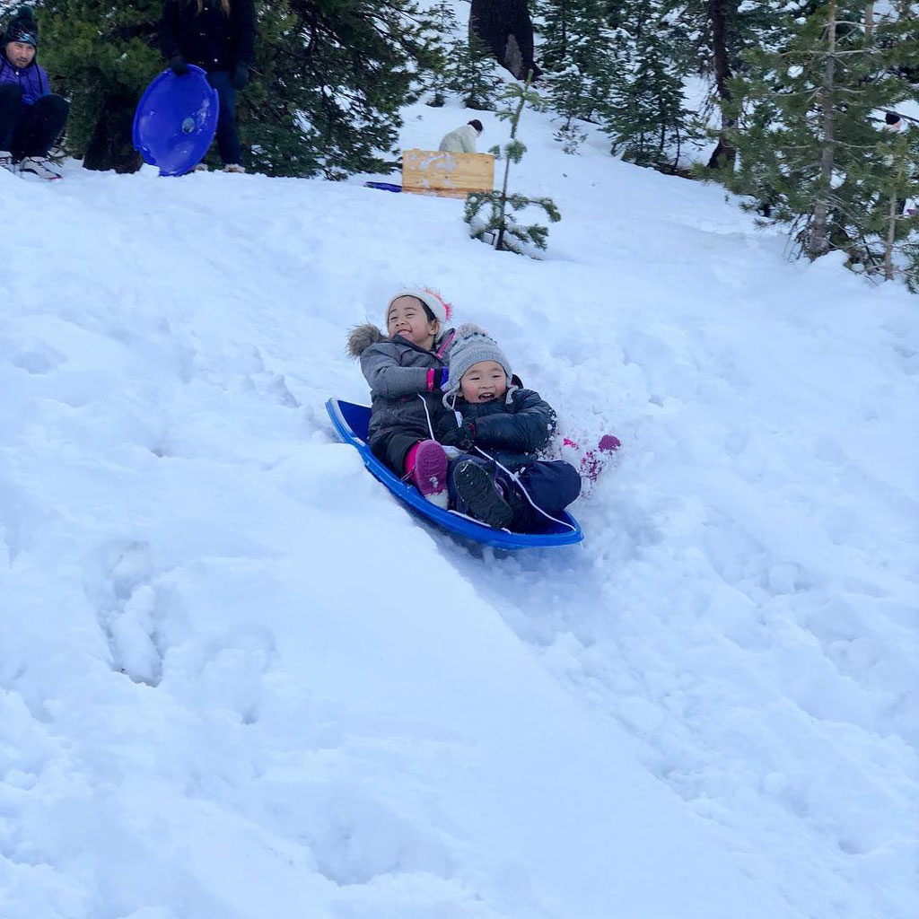 Christmas Vacation, Holiday, Holidays, Winter Vacation, Sledding, Sled