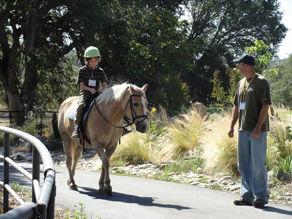 Oakhorse, equestrian, horseback
