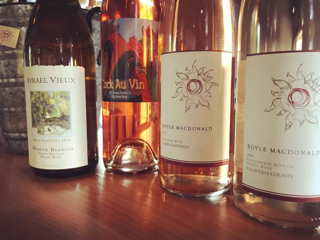 Boyle MacDonald, Murphys Tasting Room, Murphys Wine, Murphys CA, Murphys CA Wine, Calaveras Wine, Vineyard, Tasting Room