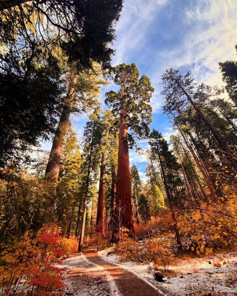 Easy Autumn Hikes for the Whole Family in Calaveras - GoCalaveras.com, image size:820x1024