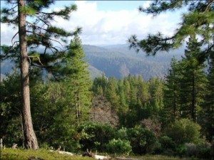 Arnold Rim Trail