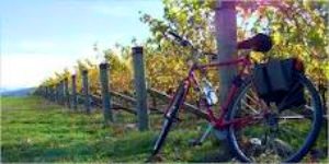 Murphys Winery Bike Tour