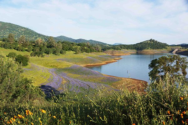 New Melones Lake Angels Camp